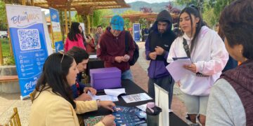 Ñuble presenta grandes desafíos en materia de desempleo.