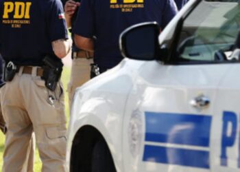 Fiscalía de Análisis Criminal y Brianco de PDI incautan casi 55 kilos de marihuana y cerca de 300 plantas de cannabis en dos operativos en San Ignacio.