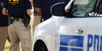 Fiscalía de Análisis Criminal y Brianco de PDI incautan casi 55 kilos de marihuana y cerca de 300 plantas de cannabis en dos operativos en San Ignacio.