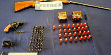 PDI INCAUTA ARMAS Y MUNICIÓN EN CHILLÁN.