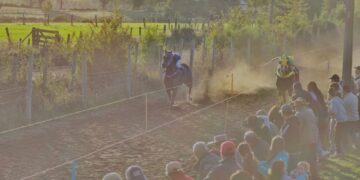 Comuna de Ñuble define ordenanza para regular las carreras a la chilena.