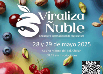 Encuentro internacional “Viraliza Ñuble” proyecta a la Región como nuevo polo frutícola de Chile.