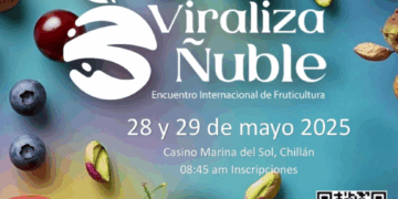 Encuentro internacional “Viraliza Ñuble” proyecta a la Región como nuevo polo frutícola de Chile.