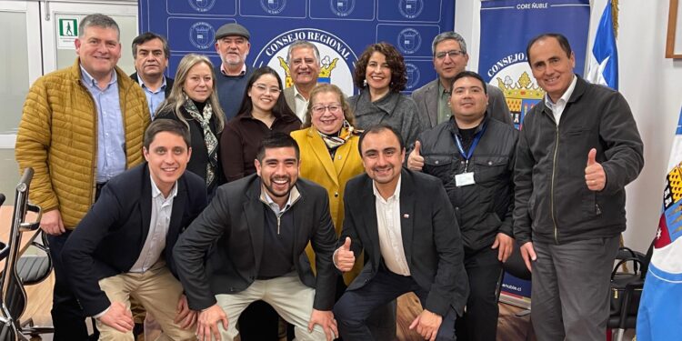 Core Ñuble aprobó inyección de más de $5.500 millones para proyectos sociales.