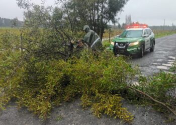 EMERGENCIA ÑUBLE ☔️ Carabineros despliega monitoreo permanente ante sistema frontal en la provincia del Itata.