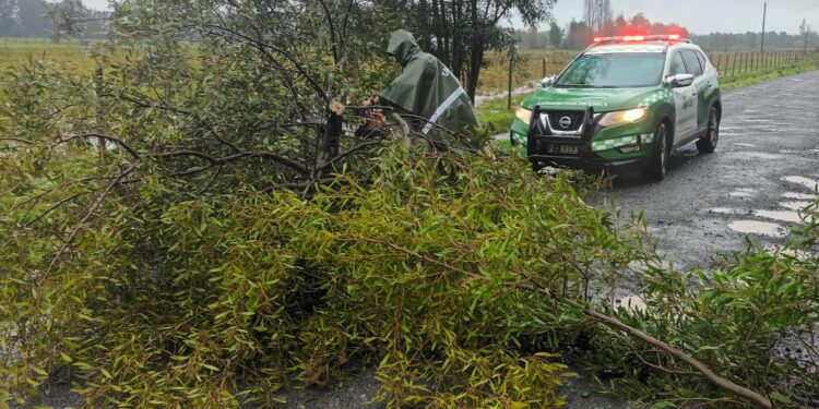 EMERGENCIA ÑUBLE ☔️ Carabineros despliega monitoreo permanente ante sistema frontal en la provincia del Itata.