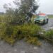 EMERGENCIA ÑUBLE ☔️ Carabineros despliega monitoreo permanente ante sistema frontal en la provincia del Itata.