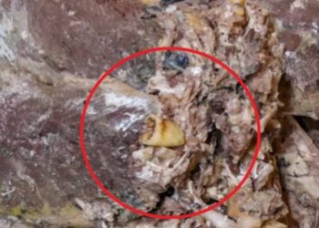 Dentro de un tarro de jurel se habría encontrado un ‘DIENTE’.