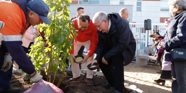 En Ch.Viejo: Un espacio público renovado que fortalece la salud y el bienestar comunitario.