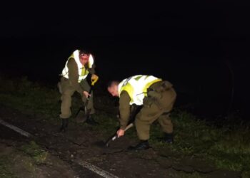 En Ñuble grave deterioro de la Ruta N-48 provoca múltiples accidentes entre Bulnes y Puente Roble.