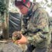 GRAVE CASO DE MALTRATO ANIMAL EN QUILLÓN.