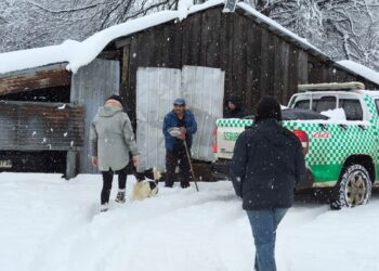 Cortes de rutas y familias aisladas deja caída de nieve en zona precordillera de El Carmen.