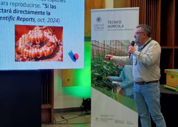 Santo Tomás Chillán reunió a expertos y estudiantes en seminario sobre apicultura y cambio climático.