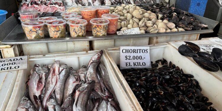 Este primero de septiembre se inicia la Veda de la Merluza en nuestro país.