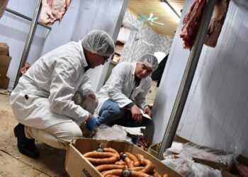 Seremi de Salud ha decomisado 2.084 kilos de productos cárnicos previo al “18”