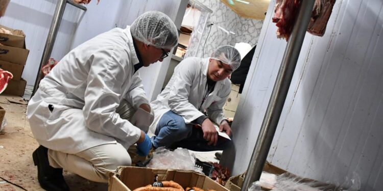 Seremi de Salud ha decomisado 2.084 kilos de productos cárnicos previo al “18”