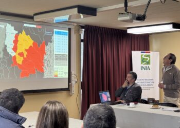 PANADEROS SE INTEGRAN A LA MESA DEL TRIGO DE ÑUBLE Y FORTALECEN LA COORDINACIÓN DE LA CADENA TRIGUERA