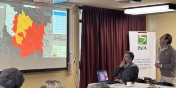 PANADEROS SE INTEGRAN A LA MESA DEL TRIGO DE ÑUBLE Y FORTALECEN LA COORDINACIÓN DE LA CADENA TRIGUERA