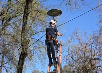 El Carmen inició la instalación de cámaras de seguridad en la comuna.