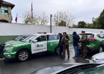 Delincuentes robaron especies en Cabrero pero fueron detenidos en Ñuble.