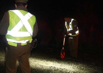 Hombre murió anoche luego de  ser atropellado en Ñuble.