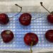 Condiciones climáticas aumentan riesgo de hongos en frutales: INIA impulsa tecnologías de detección y alerta temprana.