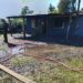 Esta tarde: INCENDIO CONSUMIÓ VIVIENDA EN EL SECTOR DE TRES ESQUINAS EN LA COMUNA DE BULNES