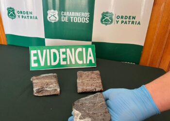 Los ofrecía a escolares: Carabineros de OS7 detuvo en Chillán a vendedora de brownies mágicos.