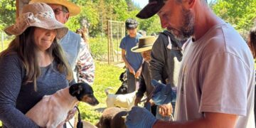 Exitoso operativo de desparasitacion en Portezuelo: cerca de mil mascotas fueron atendidas en operativo municipal.