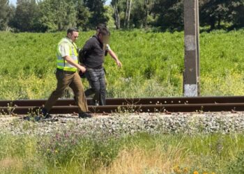 Carabineros detuvo en San Nicolás a sujetos que intentaron escapar por predios tras ingresar a una vivienda en Pedro de Nilahue.