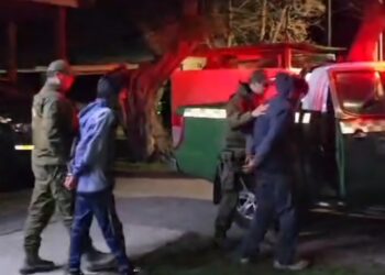 Ingresaron a robar a una cabaña en el sector de las Trancas, región de Ñuble.