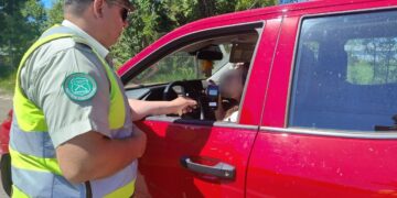 Fin de semana largo: Carabineros detuvo a 15 conductores con consumo de alcohol o drogas y cursó 102 infracciones por exceso de velocidad en Ñuble.