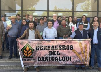 MINISTERIO DE AGRICULTURA REFUERZA ARTICULACIÓN PÚBLICO-PRIVADA PARA FORTALECER LA CADENA TRIGUERA EN ÑUBLE.