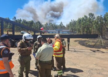 ÚLTIMO MINUTO  🪧 Alerta Roja para la comuna de Chillán Viejo por incendio forestal