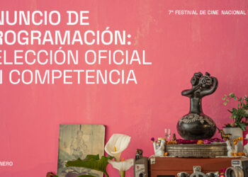 ÑUBLE CINE YA TIENE SU SELECCIÓN OFICIAL: CONOCE LAS PELÍCULAS EN COMPETENCIA DE LA 7° EDICIÓN.