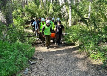 Mujer sufre accidente en la cordillera de Ñuble.