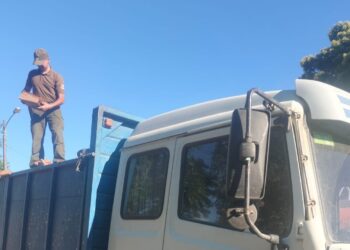 Hombre fue sorprendido con leña de especies nativas en Ñuble.