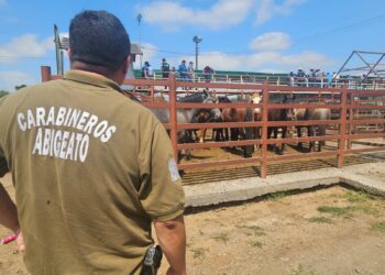 Carabineros de Ñuble informa.