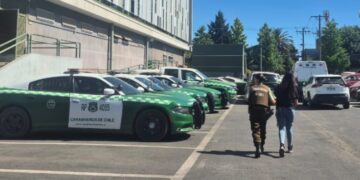 Detienen a mujer con más de 1.600 cajetillas de cigarros ilegales para comercio.