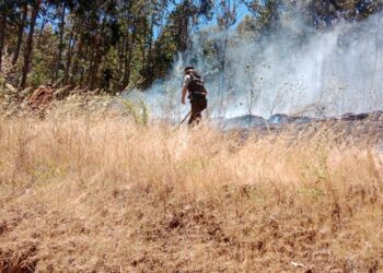 ÚLTIMO MINUTO  🪧 Alerta Roja para la comuna de Chillán Viejo por incendio forestal