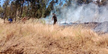 ÚLTIMO MINUTO  🪧 Alerta Roja para la comuna de Chillán Viejo por incendio forestal