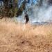 ÚLTIMO MINUTO  🪧 Alerta Roja para la comuna de Chillán Viejo por incendio forestal