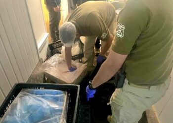 Carabineros detuvo por matadero clandestino en Ñiquén a sujeto mantenía sin acreditar faenamiento.