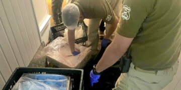 Carabineros detuvo por matadero clandestino en Ñiquén a sujeto mantenía sin acreditar faenamiento.