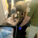 Carabineros detuvo por matadero clandestino en Ñiquén a sujeto mantenía sin acreditar faenamiento.