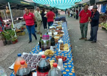 Feriantes productores de Quillón reciben equipamiento gracias a subvención municipal.