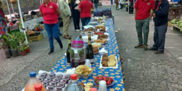 Feriantes productores de Quillón reciben equipamiento gracias a subvención municipal.