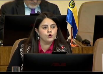Diputada Sara Concha destacó decisión de la Unesco de nombrar a San Nicolás como parte de la red de ciudades del aprendizaje.