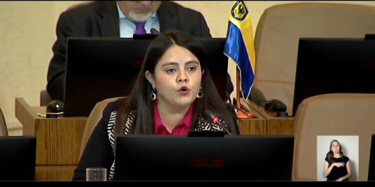 Diputada Sara Concha destacó decisión de la Unesco de nombrar a San Nicolás como parte de la red de ciudades del aprendizaje.