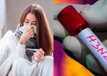 Hay un caso de la variante H3N2 subclado K en la región de Ñuble, confirmado por el Instituto de Salud Pública.